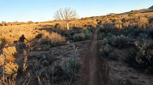 Shadow of rider driving through desert flatlands with Mesa Verde National Park views in horizon, POV shot