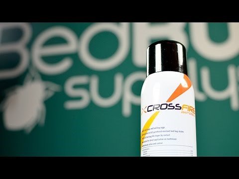 CrossFire Aerosol Bed Bug Spray Review