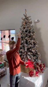 15K views · 427 reactions | Let’s design this traditional Christmas tree together! #treedecorating #christmastreedecorating #designer #tradtitionalchristmas #Retailshop | MB Crafts | Facebook