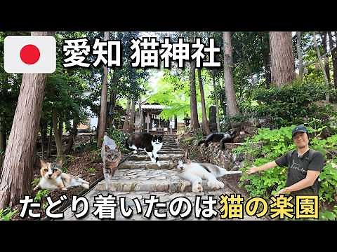 Aichi's Cat Shrine 🐈⛩️ Train & Hike to Paradise! 🏞️