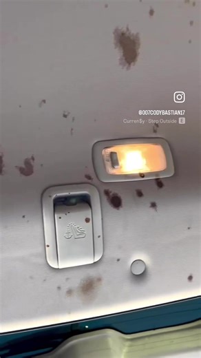 Expert Interior Detailing in Houston