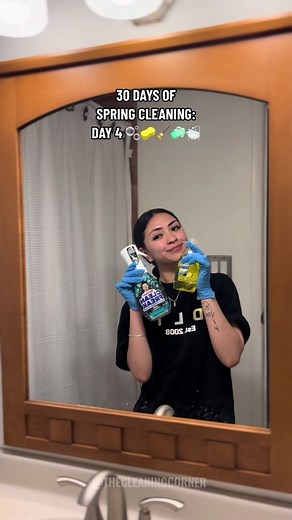 Bathroom Spring Cleaning Tips and Tricks