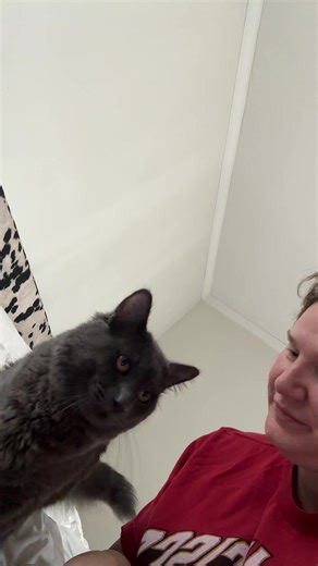 All the kisses for the baby 🐱🐾 #cat #kisses