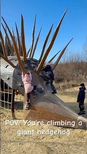 POV: You're climbing a giant hedgehog