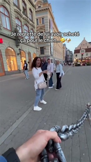 Elle promène toujours le petit chien avec…😭🐕#chien #petitchien #caniche #chihuahua #chienmignon