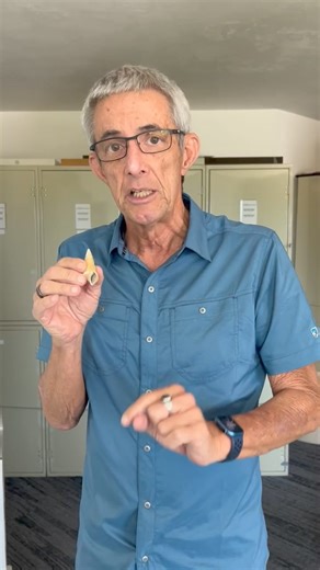 Our Science Director & Curator Dr José H. Leal presents *Rubyspira osteovora*, a deep-sea whale-bone-eating snail! | Bailey-Matthews National Shell Museum & Aquarium