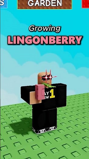 Growing Lingonberry In Grow A Garden