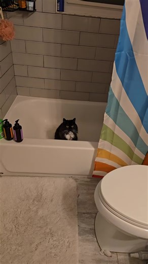 The Brain Trust 🧠 (@15people1brain)’s videos with original sound - The Brain Trust 🧠