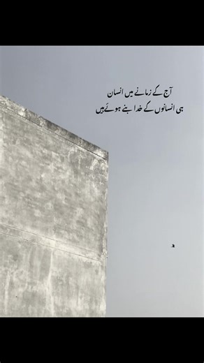 Exploring Humanity's Role in Today’s Society