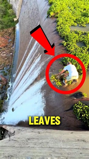 Grandpa Risked It All to Clear This Dam 😳💧#shorts