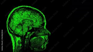 Human brain scan made of binary code. Ones and zeros. With copy space. The first 2 seconds and last 5 seconds are loopable at any point.
