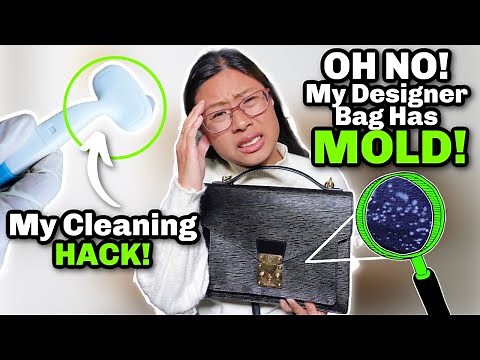 5 EASY Steps To Remove Mold From Vintage Louis Vuitton Luxury Leather Bag (without destroying it)!
