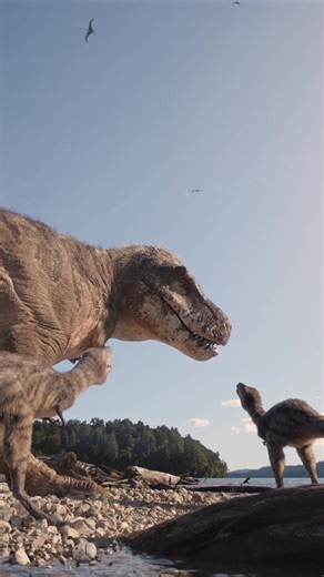 Science Museum of Minnesota on Reels