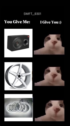 SWIFT 🕊️ on Instagram: "SWIFT ✨... #swift #viral"