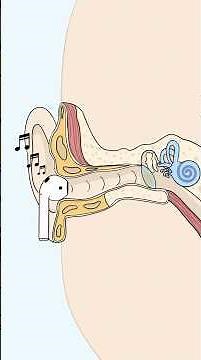 Why Loudening Your AirPods Damages Your Hearing? #shorts