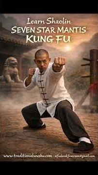 Shaolin Seven Star Mantis Kung Fu. Great Grandmaster Lee Kam Wing