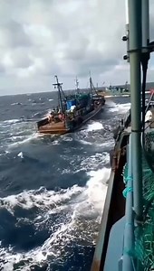 闽南语《心头肉》 | Mooi Huay