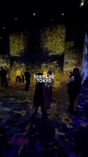 teamLab Tokyo Japan 🇯🇵 チームラボ in 東京🗼 #teamlabs #teamlab #japaneseart #art #projectionmapping #日本