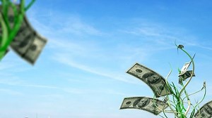 Árboles de dinero creciendo, LOOP: video de stock (totalmente libre de regalías) 872335 | Shutterstock