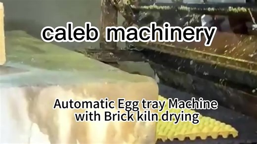 Electric Egg Tray Machine/egg Comb Making Machine Production Line