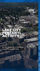 A side street in Seattle’s Lake City neighborhood has found itself immersed in rampant drug use by a crowd of addicts who keep returning. Although city crews have cleared encampments from a stretch of 33rd Ave NE, between NE 125th St and NE 130th St, people who live in the area said fentanyl users keep finding their way back. Many have reached out to city officials for months asking for help, and Seattle City Councilmember Cathy Moore is now pushing for change. As city streets go, 33rd should be