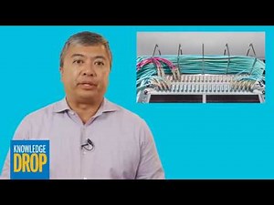 Duplex vs Parallel Transmission over Multimode Fiber