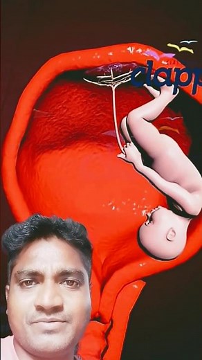 "Baby Inside Mother’s Womb 🍼 | Amazing Fetal Development Journey | 3D Animation Video"