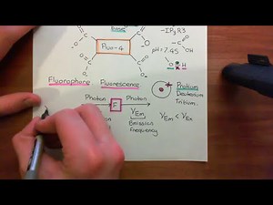 Measuring Intracellular Calcium with Fluo-4 Part 3