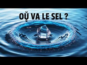 Où le SEL DISPARAÎT-IL dans l'eau ? (La VÉRITÉ scientifique) #Chimie