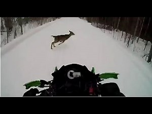 Snowmobile Hits Deer and It Explodes