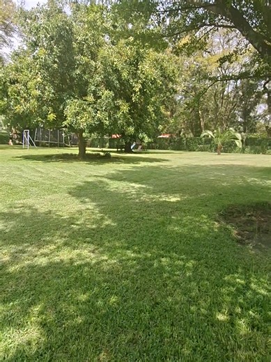 1 Acre Land for Sale in Milimani 60M. #nakurutiktokers #nakurucity #realestate #fyp #nakurutown