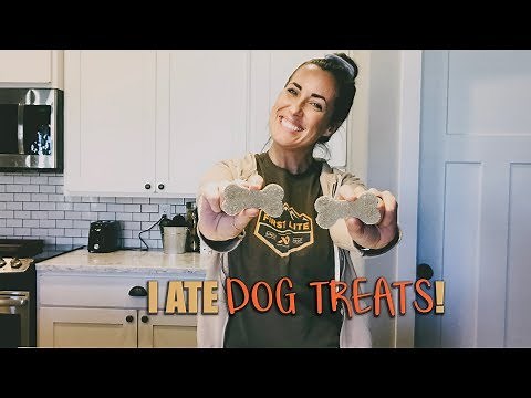 How to Make Homemade Dog Treats