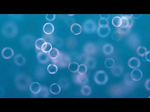 🫧 Calm Classroom Meditation | 10 Minutes to Relax & Refocus