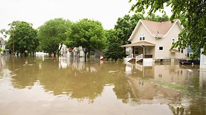 Canada is home to 25% of the world's remaining wetlands. We have an extraordinary opportunity—and responsibility—to protect them. | Ducks Unlimited Canada