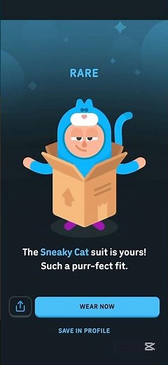 How I got the Sneaky Cat costume in Duolingo