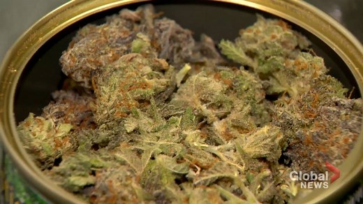 Cannabis study aims to improve treatment options for people living with psychosis