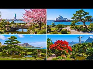 Ultimate Japanese Garden Tour: Niwaki Around the World