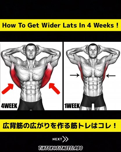 広背筋の広がりを作る筋トレ #TikTok1mvp #筋トレ動画 #筋トレ #背中トレ #広背筋
