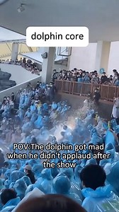 334K views · 10K reactions | Dolphin friendship with human and...