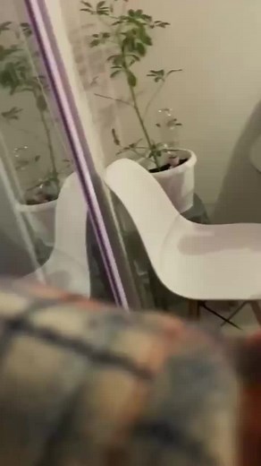 Chilean Earthquake Insights: Understanding the Impact