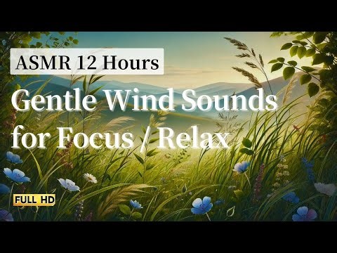 12 Hours ASMR Gentle Wind Natural Sounds for Relaxation and Stress Relief