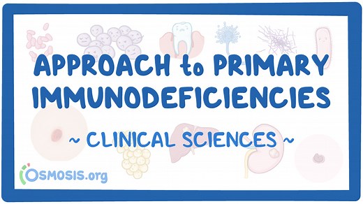 Approach to primary immunodeficiencies: Video & Meaning | Osmosis