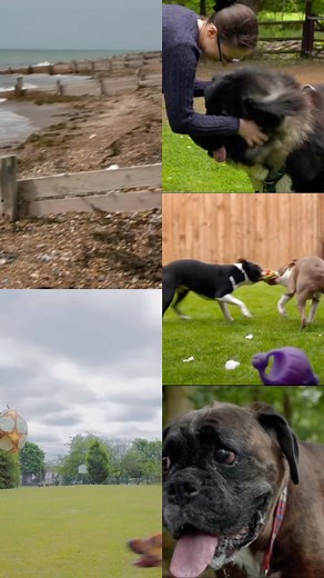 That’s a wrap, Series 19 of The Supervet 2024. Thank you to everyone who made this special TV show possible, especially the animals x #supervet #channel4 #fitzpatrickreferrals | Professor Noel Fitzpatrick