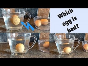 How to tell if your egg is too old to eat!
