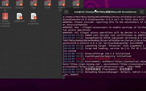 Ubuntu快速开服教程
