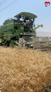 Wheat crop cutting from harvester machine #wheat #cutting #harvester | Hetal's Heart