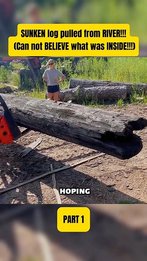 79K views · 683 reactions | SUNKEN log pulled from RIVER!!! (Can not BELIEVE what was INSIDE!!!) Part 3 #worklife #woodworking #sawmill #farming #wallacefarmandsawmill | Wallace Farm and Sawmill | Facebook