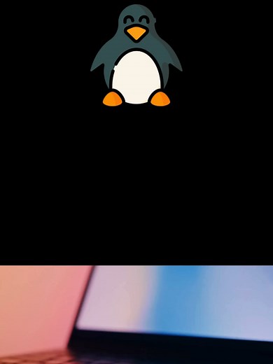 Pourquoi les data centers préfèrent Linux à Windows