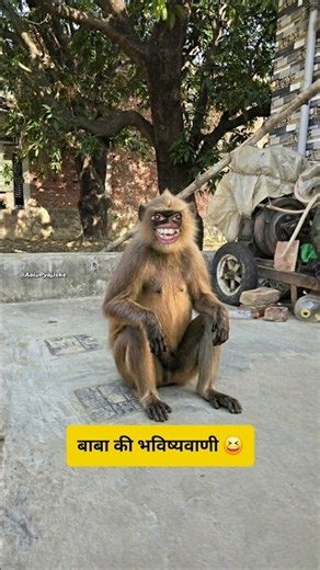 बाबा की भविष्यवाणी #funny #thetharpuns #aalupyajjoke #comedy