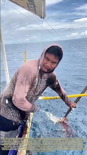 Grabbing a Live Squid: How Its Defensive Ink Spray Hits the Fisherman Full Force
